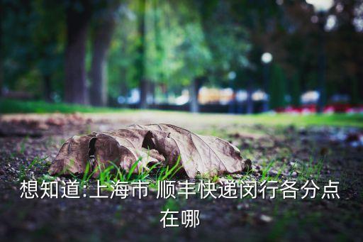 想知道:上海市 顺丰快递闵行各分点在哪