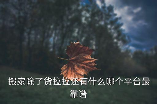  搬家除了货拉拉还有什么哪个平台最靠谱