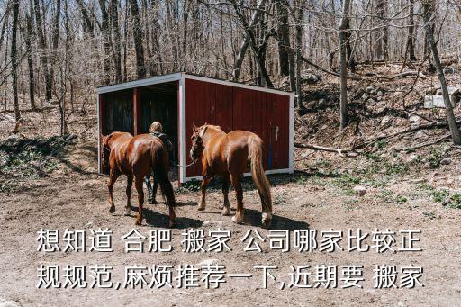 合肥便宜点的搬家公司,合肥高新区搬家公司