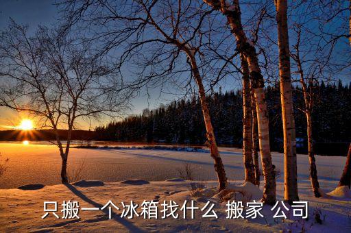 只搬一个冰箱找什么 搬家 公司