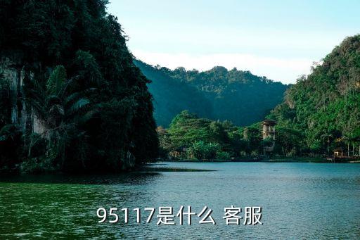 95117是什么 客服