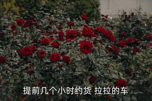 提前几个小时约货 拉拉的车