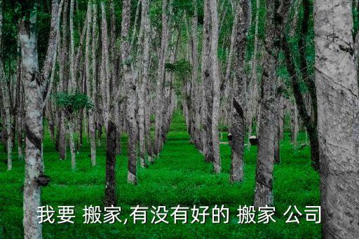 我要 搬家,有没有好的 搬家 公司