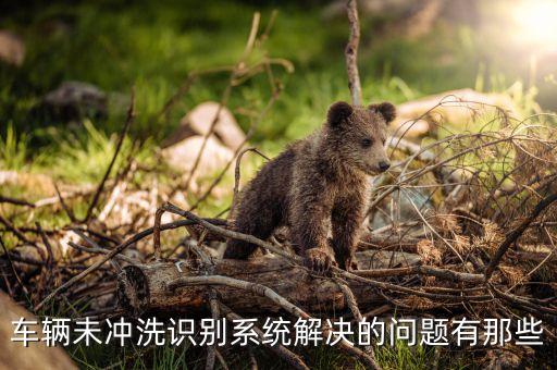 车辆未冲洗识别系统解决的问题有那些