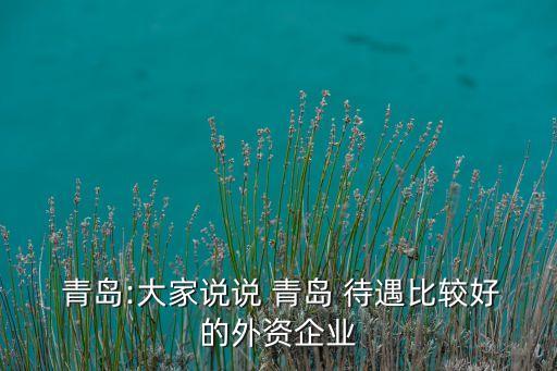 青岛国际投资有限公司待遇怎么样,南阳投资集团有限公司待遇怎么样
