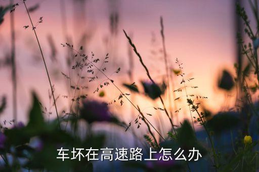 车坏在高速路上怎么办