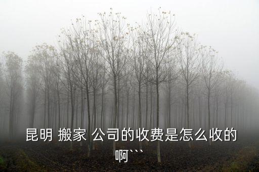  昆明 搬家 公司的收费是怎么收的啊```