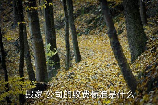 搬家公司拉货多少钱,拉货搬家公司电话