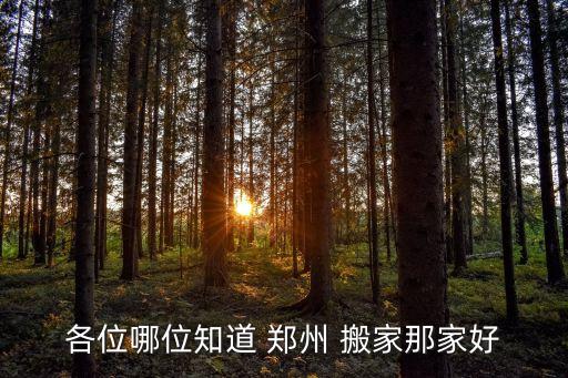 各位哪位知道 郑州 搬家那家好