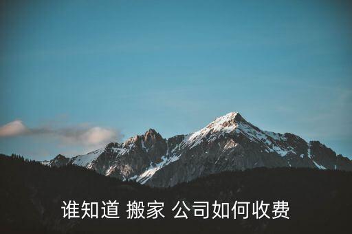 谁知道 搬家 公司如何收费