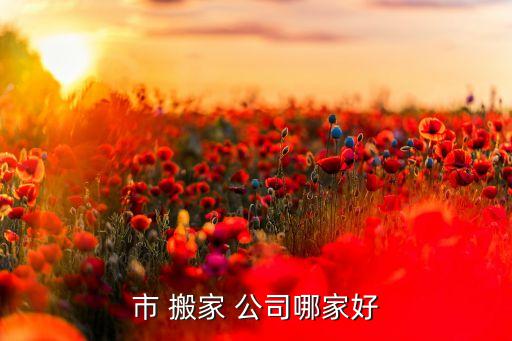 市 搬家 公司哪家好