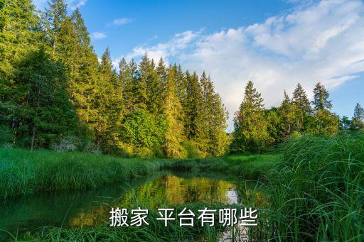  搬家 平台有哪些