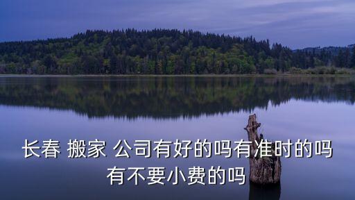 长春 搬家 公司有好的吗有准时的吗有不要小费的吗