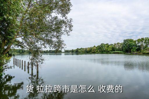 货拉拉搬家小哥收费标准,搬家小哥接单平台app