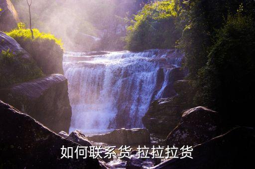 上海叫货拉拉怎么叫,上海如何叫货拉拉