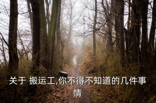 关于 搬运工,你不得不知道的几件事情