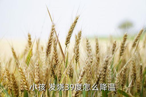小孩 发烧39度怎么降温