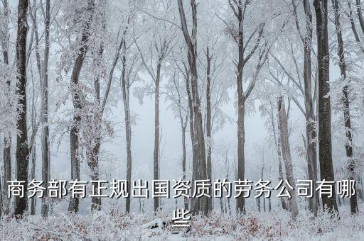 商务部有正规出国资质的劳务公司有哪些