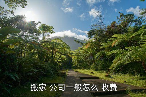  搬家 公司一般怎么 收费
