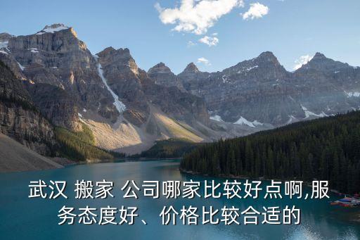 武汉 搬家 公司哪家比较好点啊,服务态度好、价格比较合适的