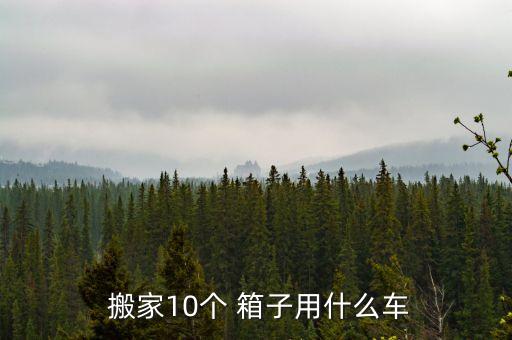  搬家10个 箱子用什么车