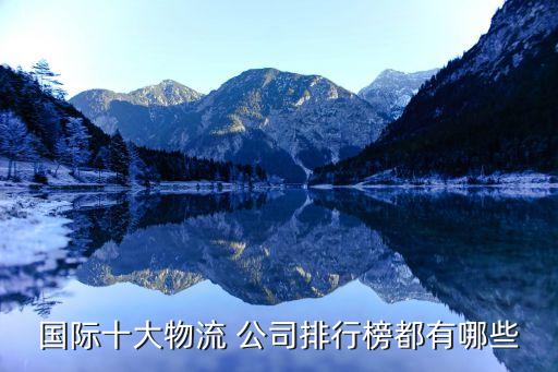 搬运公司排名,搬运机器人公司