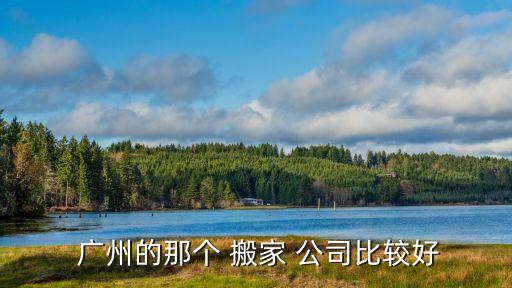  广州的那个 搬家 公司比较好