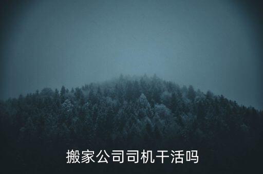  搬家公司司机干活吗