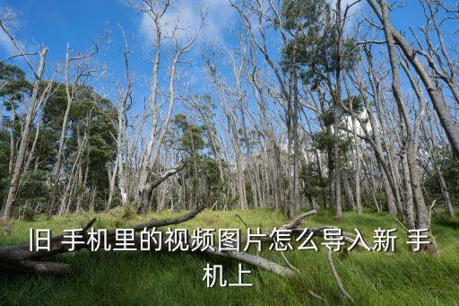 旧 手机里的视频图片怎么导入新 手机上