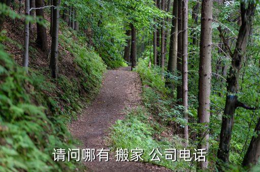 拉货搬家公司电话号码多少,郑州货拉拉搬家公司电话号码