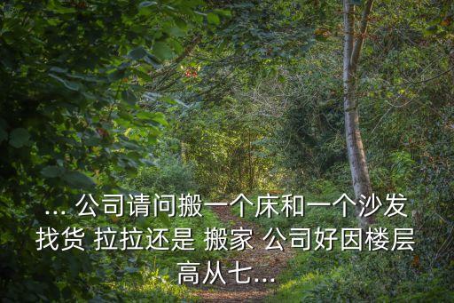 ... 公司请问搬一个床和一个沙发找货 拉拉还是 搬家 公司好因楼层高从七...