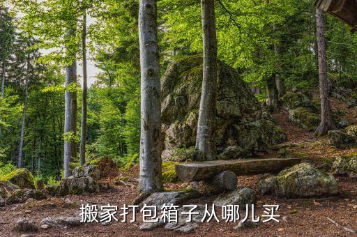  搬家打包箱子从哪儿买