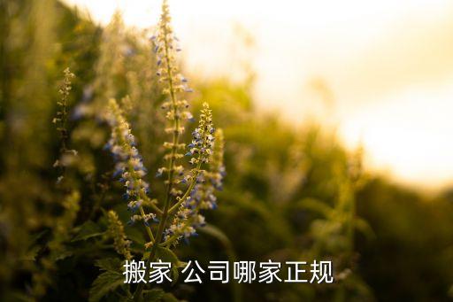  搬家 公司哪家正规