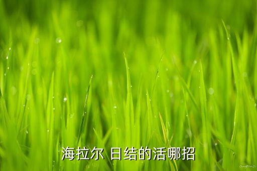 海拉尔 日结的活哪招
