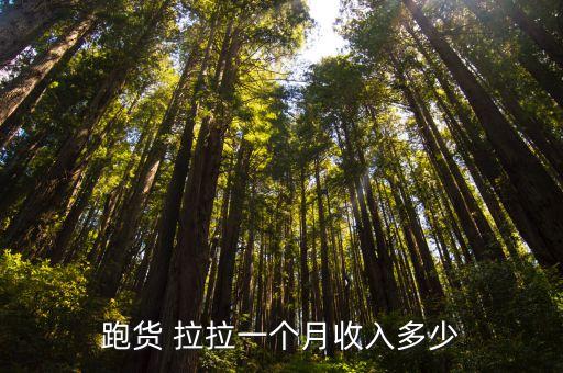 跑货 拉拉一个月收入多少