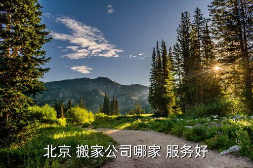 货拉拉的无忧搬家服务怎么样