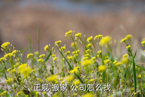 宁海搬家公司电话查询,长治市搬家公司电话查询