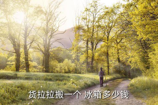 货拉拉搬一个 冰箱多少钱
