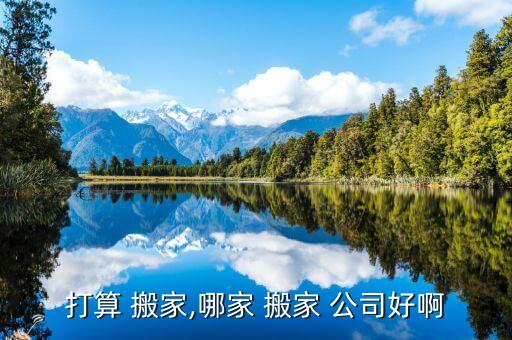 打算 搬家,哪家 搬家 公司好啊