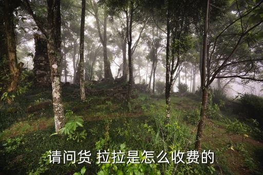 货拉拉普通搬家多少钱一次呀