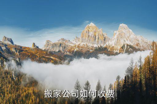  搬家公司如何收费