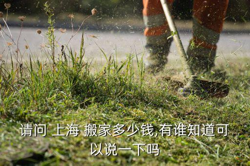 请问 上海 搬家多少钱,有谁知道可以说一下吗