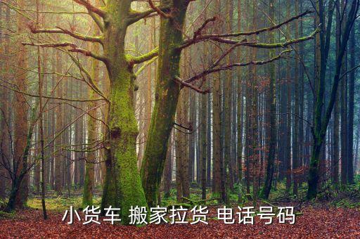 烟台莱山区搬家电话多少,58同城搬家电话多少