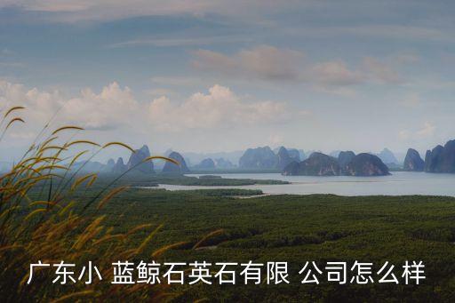 小蓝鲸搬家公司