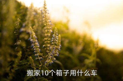  搬家10个箱子用什么车