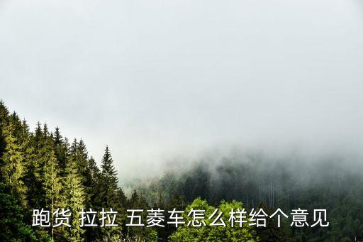 跑货 拉拉 五菱车怎么样给个意见