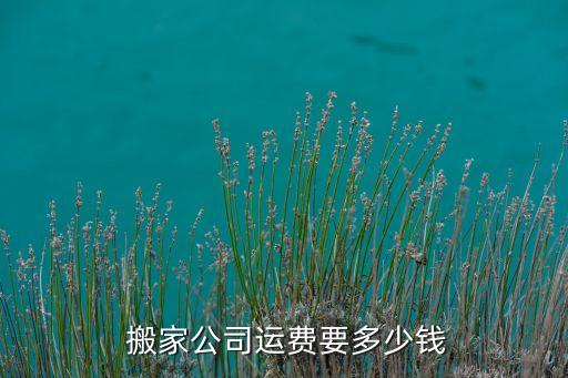  搬家公司运费要多少钱