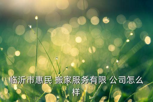 临沂市惠民 搬家服务有限 公司怎么样