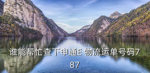 谁能帮忙查下申通E 物流运单号码787