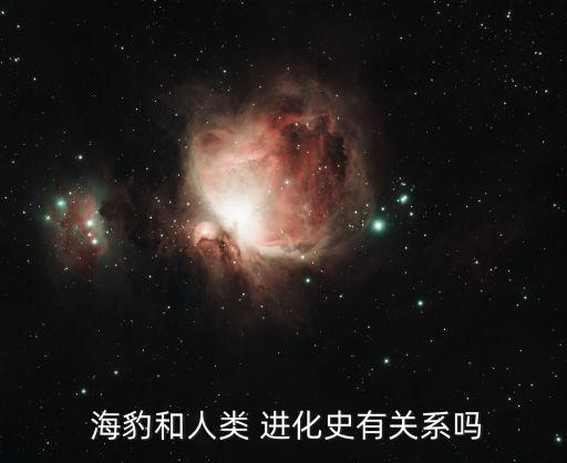  海豹和人类 进化史有关系吗
